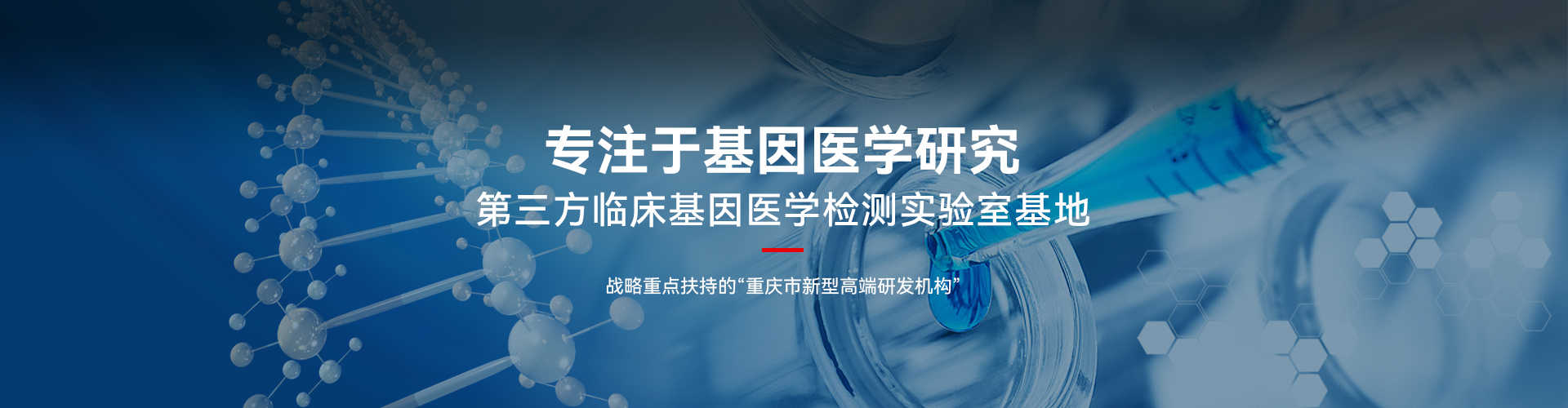 DB�����콢