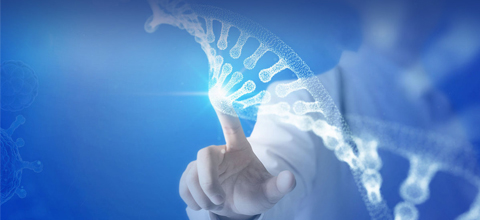 ����������...