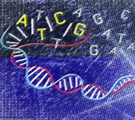 ���˿����ۺ�����-��������