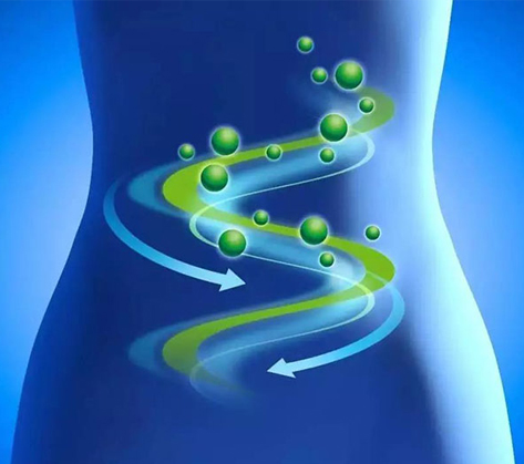 ����΢��̬��������