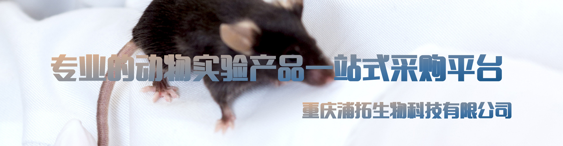 DB�����콢